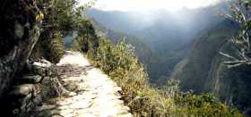 Jungle a Machu Picchu