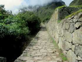 Jungle a Machu Picchu