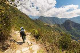 Jungle a Machu Picchu