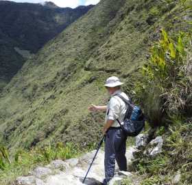 Jungle a Machu Picchu